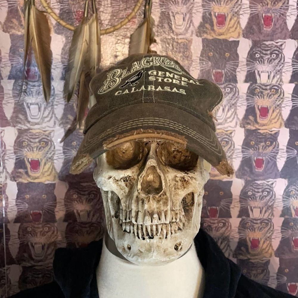 Original Retro Brand hat